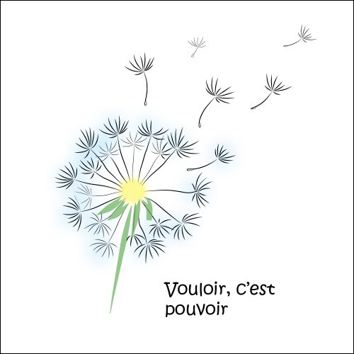 Vouloir_c’est_pouvoir_2